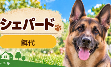 シェパードの餌代は月いくら？体重からドッグフード代をシミュレーション