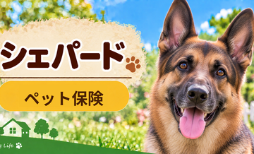 シェパードのペット保険料はいくら？加入前に確認したい補償と費用
