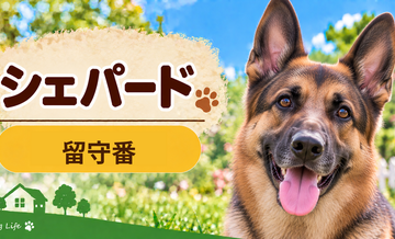 シェパードの留守番環境を整える｜安全対策と便利グッズ