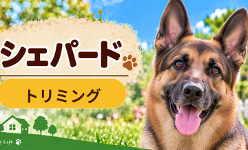 シェパードのトリミング代はいくら？頻度と年間費用を計算