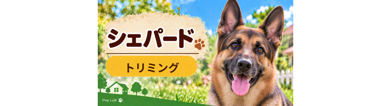 シェパードのトリミング代はいくら？頻度と年間費用を計算