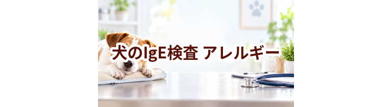 犬のIgE検査とは？わかること・結果の見方をやさしく解説