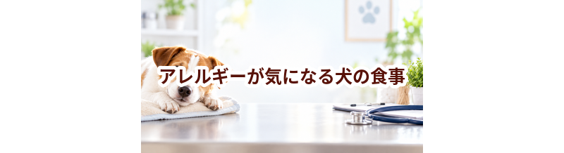 アレルギーが気になる犬の食事はどうする？獣医師に相談したいポイント