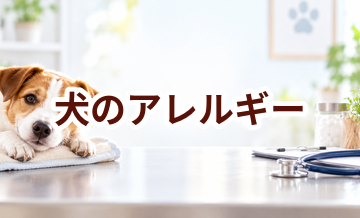 犬のアレルギーとは？症状・検査・食事・費用をまとめて解説