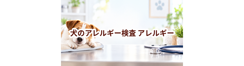 犬のアレルギー検査はいくら？検査方法と費用の目安
