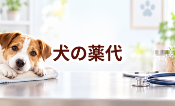 犬の薬代はいくら？長期通院で家計に備える方法