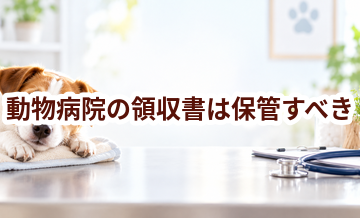 動物病院の領収書は保管すべき？保険請求と家計管理のポイント