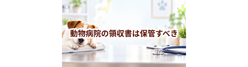 動物病院の領収書は保管すべき？保険請求と家計管理のポイント