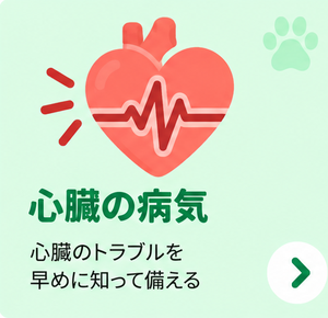 心臓の病気