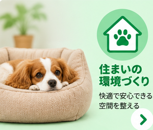 住まい・室内環境