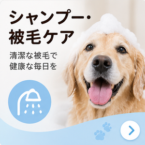 留守番
