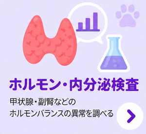 ホルモン・内分泌検査