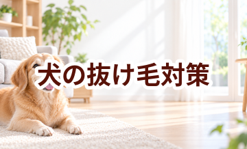 犬の抜け毛対策｜掃除グッズとブラッシング用品の選び方
