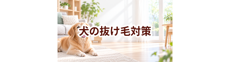 犬の抜け毛対策｜掃除グッズとブラッシング用品の選び方