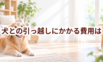 犬との引っ越しにかかる費用は？準備・移動・新居対策