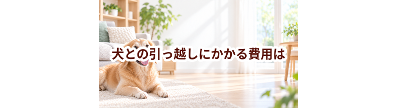 犬との引っ越しにかかる費用は？準備・移動・新居対策