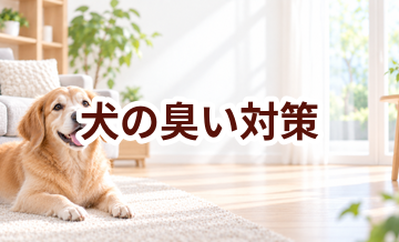 犬の臭い対策はどうする？掃除・消臭用品・空気環境を見直す