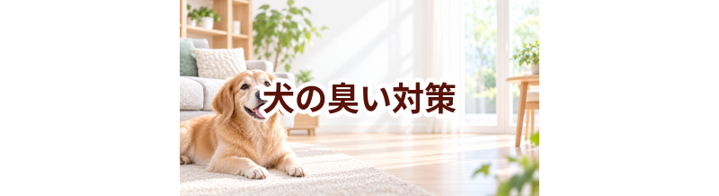 犬の臭い対策はどうする？掃除・消臭用品・空気環境を見直す