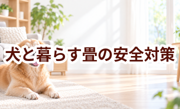 犬と暮らす畳の安全対策｜滑り・誤食・汚れを防ぐ工夫