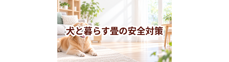 犬と暮らす畳の安全対策｜滑り・誤食・汚れを防ぐ工夫
