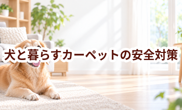 犬と暮らすカーペットの安全対策｜滑り・誤食・汚れを防ぐ工夫