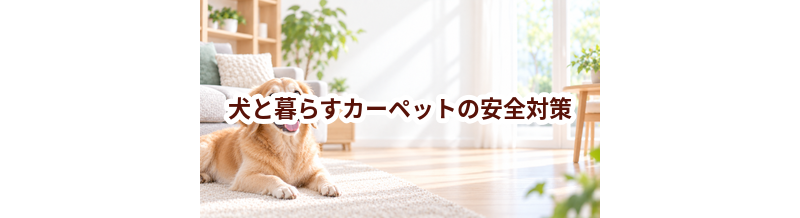 犬と暮らすカーペットの安全対策｜滑り・誤食・汚れを防ぐ工夫