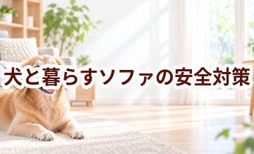 犬と暮らすソファの安全対策｜滑り・誤食・汚れを防ぐ工夫