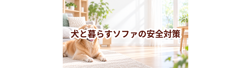 犬と暮らすソファの安全対策｜滑り・誤食・汚れを防ぐ工夫