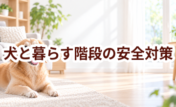 犬と暮らす階段の安全対策｜滑り・誤食・汚れを防ぐ工夫