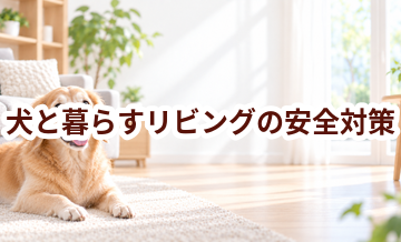 犬と暮らすリビングの安全対策｜滑り・誤食・汚れを防ぐ工夫