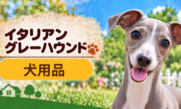 イタリアングレーハウンド向け犬用品の選び方｜ケージ・ベッド・ハーネスをまとめて確認