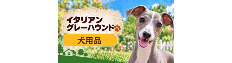 イタリアングレーハウンド向け犬用品の選び方｜ケージ・ベッド・ハーネスをまとめて確認