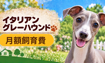 イタリアングレーハウンドの飼育費は月いくら？食費・日用品・保険料を家計シミュレーション