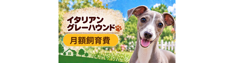 イタリアングレーハウンドの飼育費は月いくら？食費・日用品・保険料を家計シミュレーション