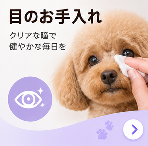 室内・食事用品