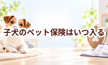 子犬のペット保険はいつ入る？迎えた直後に考えたいこと
