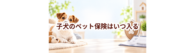 子犬のペット保険はいつ入る？迎えた直後に考えたいこと