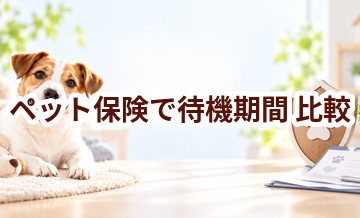 ペット保険で待機期間を比較するときの見方｜保険料だけで選ばない