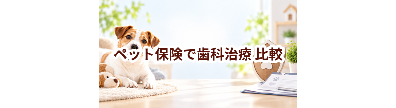 ペット保険で歯科治療を比較するときの見方｜保険料だけで選ばない