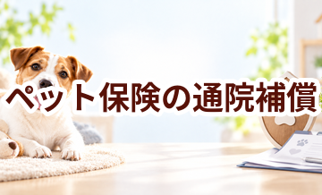 ペット保険の通院補償とは？契約前に確認したいポイント