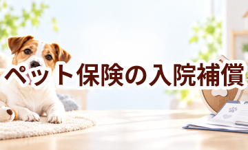 ペット保険の入院補償とは？契約前に確認したいポイント