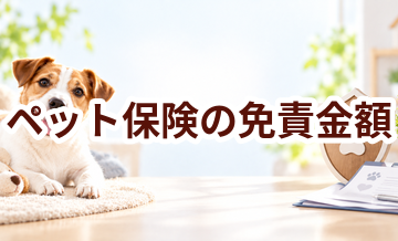 ペット保険の免責金額とは？契約前に確認したいポイント
