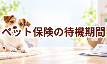 ペット保険の待機期間とは？契約前に確認したいポイント