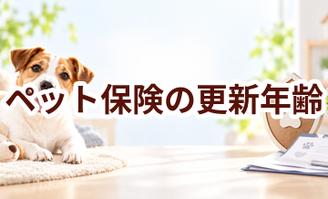 ペット保険の更新年齢とは？契約前に確認したいポイント