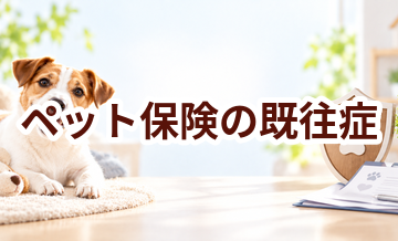 ペット保険の既往症とは？契約前に確認したいポイント