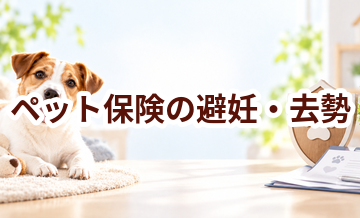 ペット保険の避妊・去勢とは？契約前に確認したいポイント