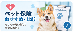 ペット保険おすすめ・比較
