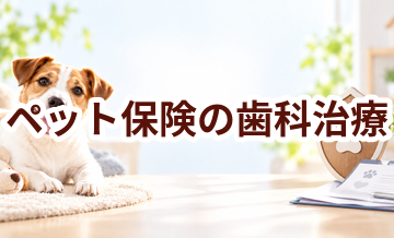 ペット保険の歯科治療とは？契約前に確認したいポイント
