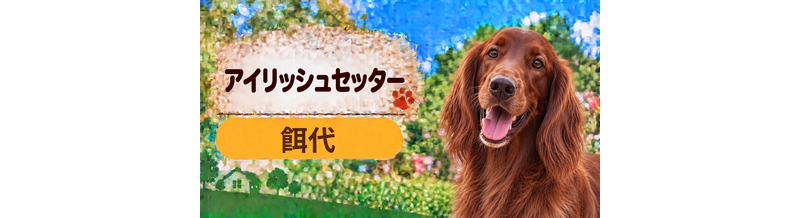 アイリッシュセッターの餌代は月いくら？体重からドッグフード代をシミュレーション