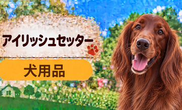 アイリッシュセッター向け犬用品の選び方｜ケージ・ベッド・ハーネスをまとめて確認